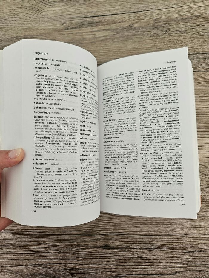 Dictionnaire des synonymes Larousse - photo numéro 4