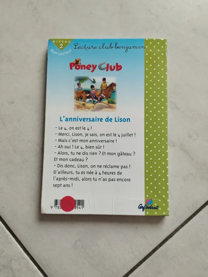 Poney club - l'anniversaire de Lison - photo numéro 2