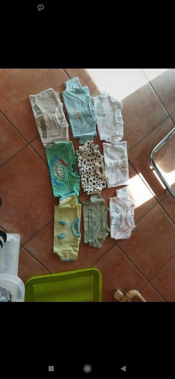 Lot tee shirt manches courtes