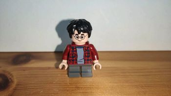 LEGO Harry Potter: Figurine Harry Potter de 75953