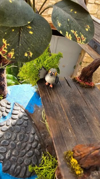 Super petite figurine Pokemon Nintendo Poichigeon