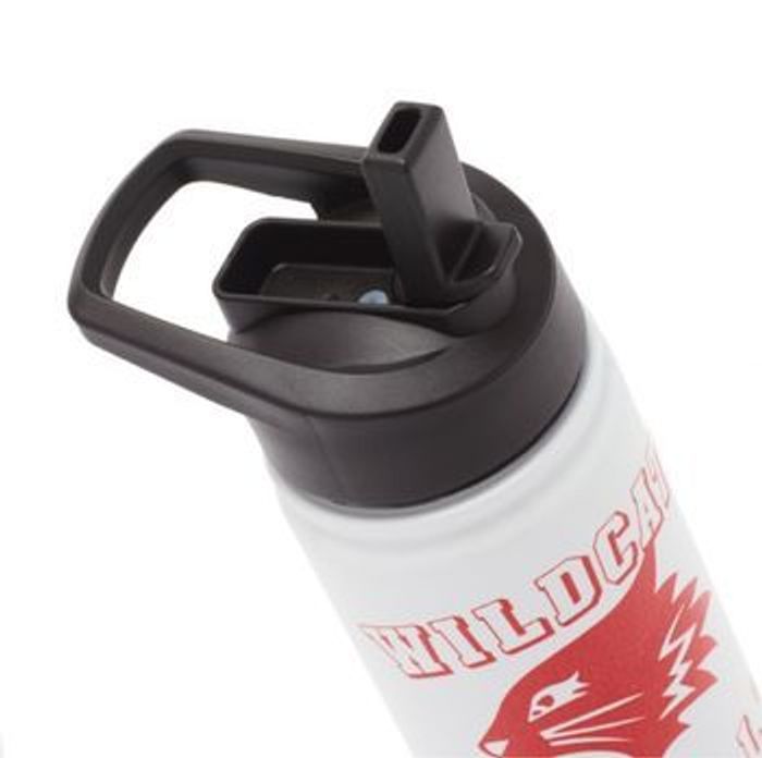 Gourde High School Musical Disney - photo numéro 3