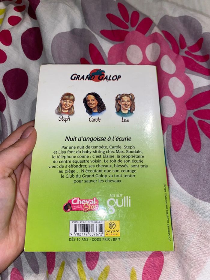 Livre grand galop - photo numéro 2