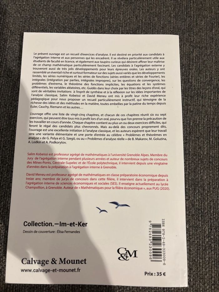 Agrégation interne de mathématiques - leçon d’analyse pour le second oral - photo numéro 2