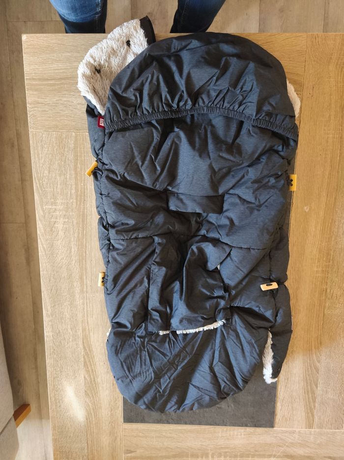 Chancelière d'hiver - photo numéro 6