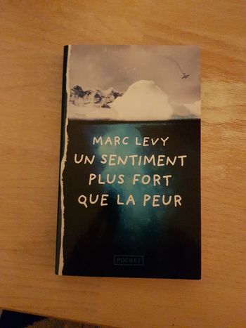 un sentiment plus fort que la peur - Marc Levy