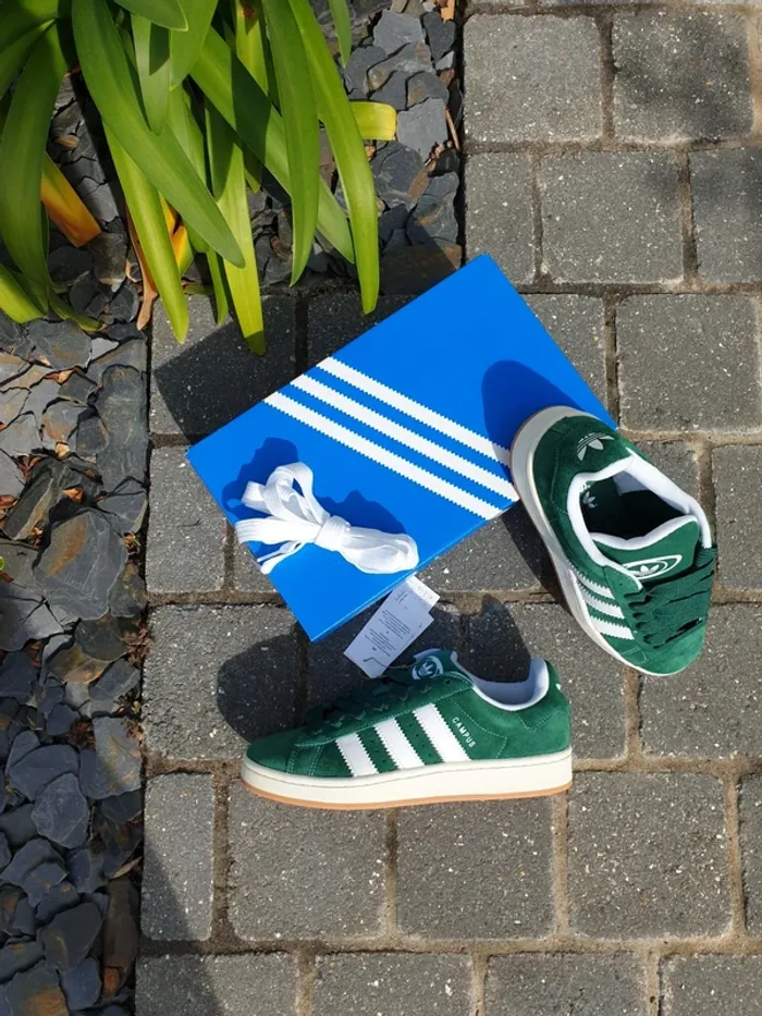 Adidas Campus Green