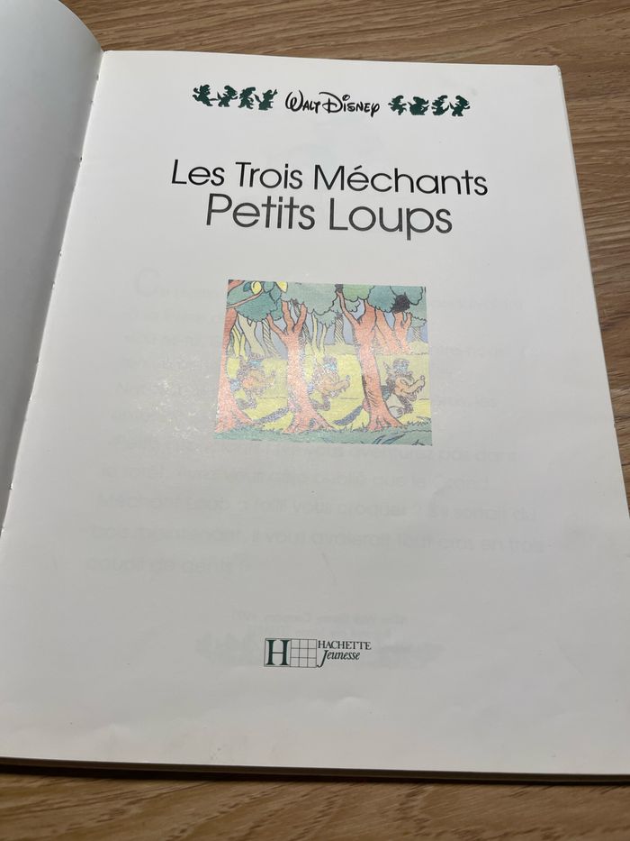 Livre Disney - photo numéro 3
