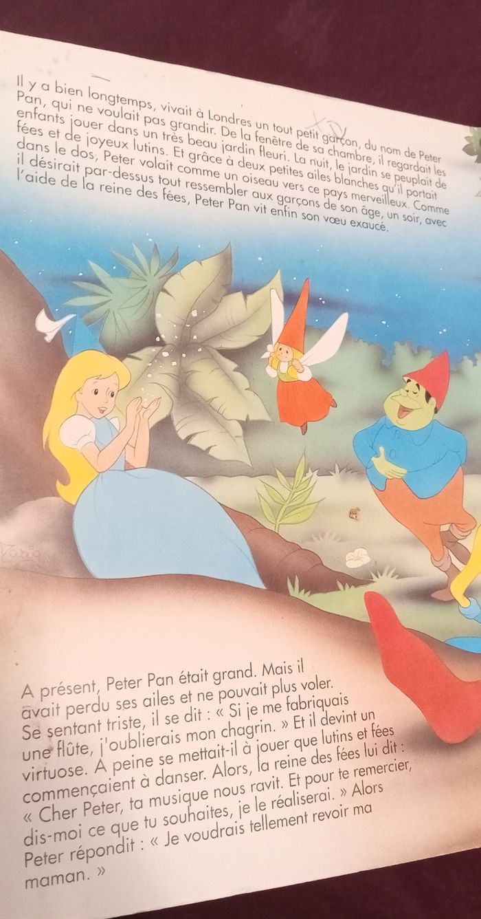 Livre Peter Pan - photo numéro 3