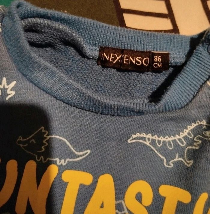 Pull in extenso dinosaure - photo numéro 2