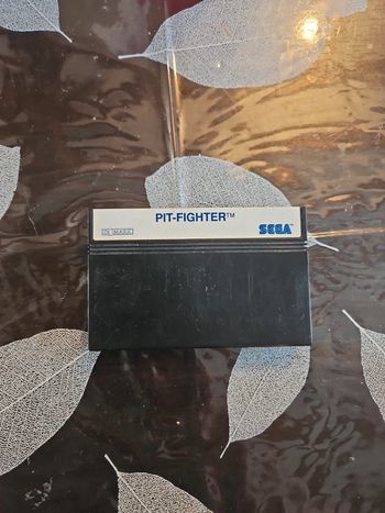 pitié fighter sega master system