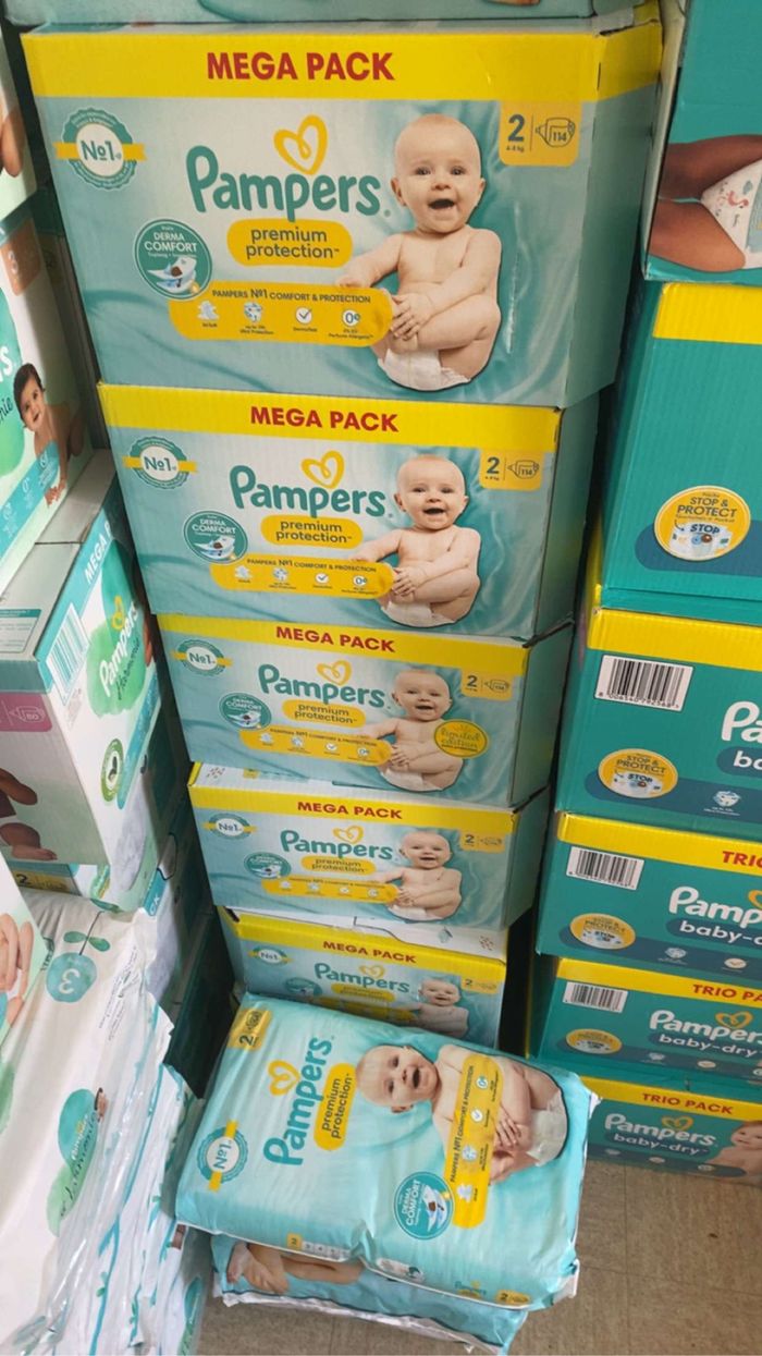 Panpers - photo numéro 7