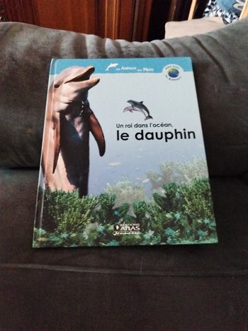 Un roi dans l'océan, le dauphin
