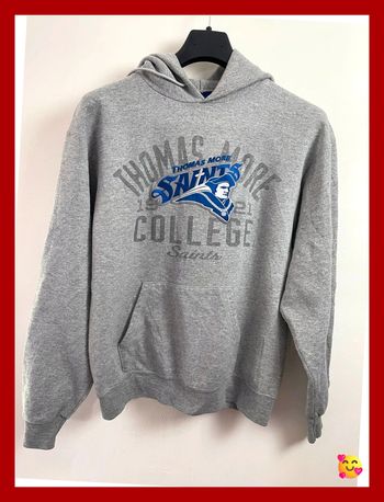 👕 Sweat vintage Champion Thomas More – Taille M – Coloris gris