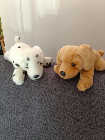 Lot de deux chiots