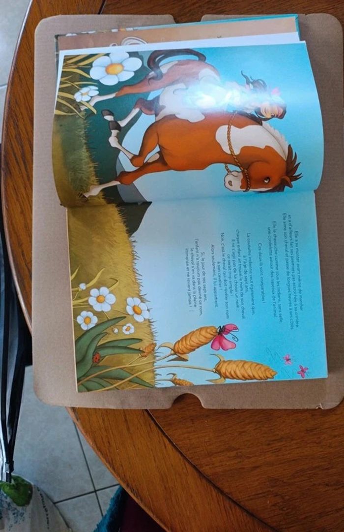 15 histoires de chevaux - photo numéro 4