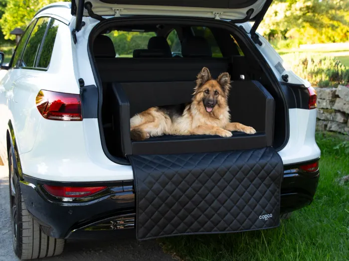 Lit de voyage pour chien - photo numéro 8