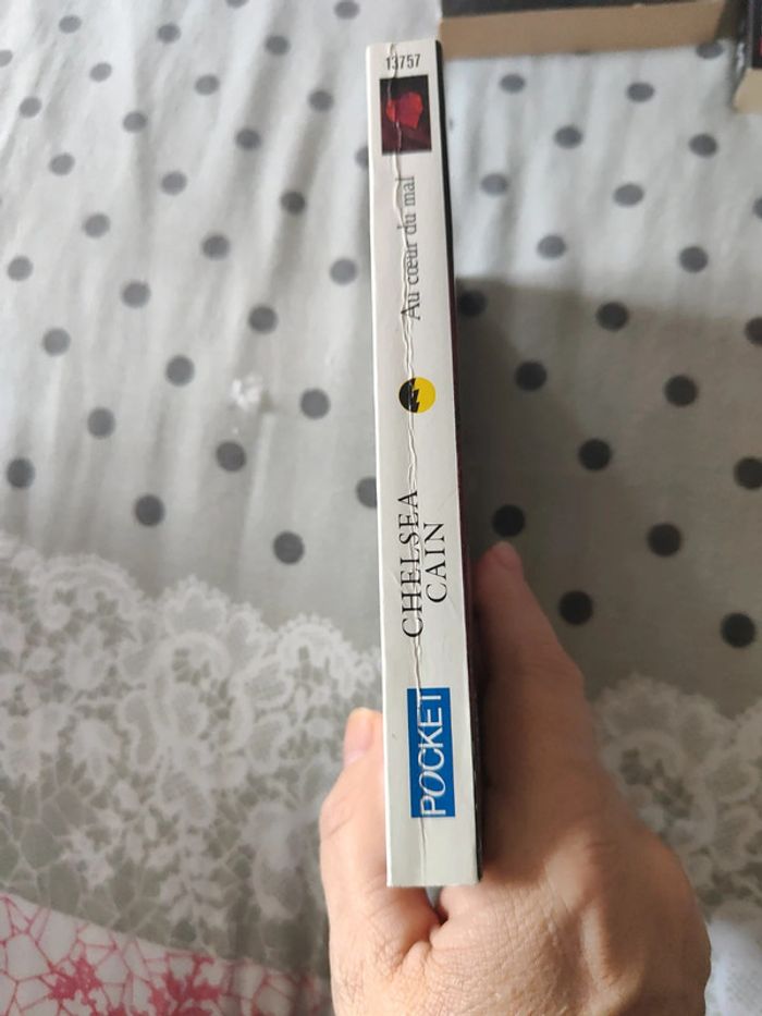 Le coeur du mal - photo numéro 3