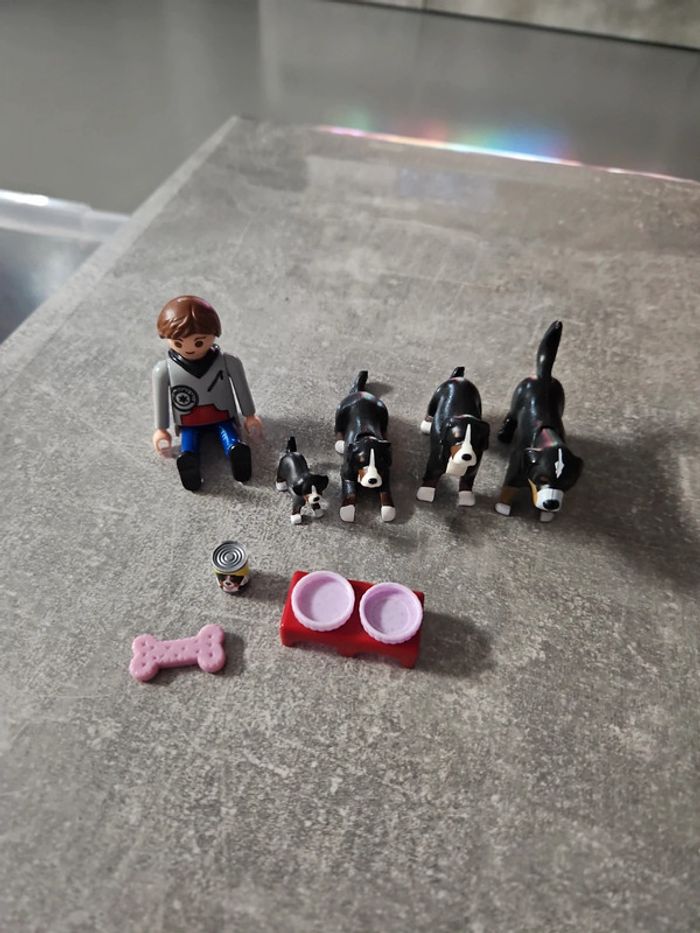 Playmobil 5214 Famille de Bouviers Bernois - photo numéro 2