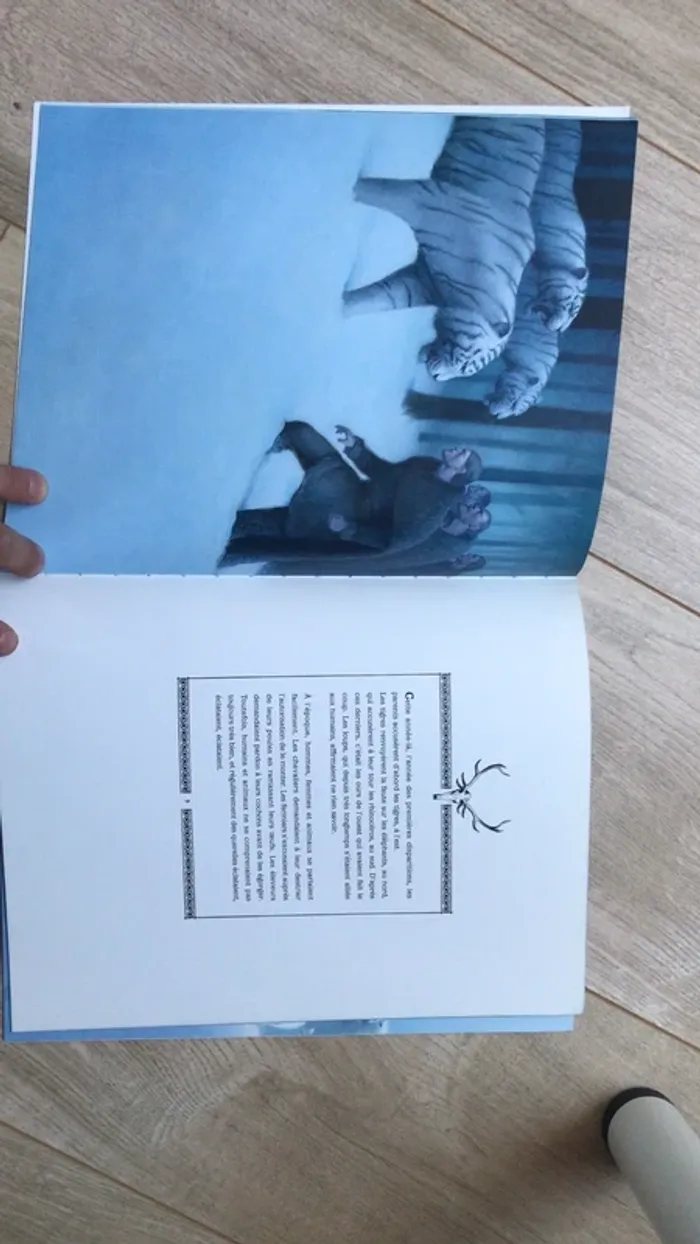 Anya et tigre blanc - photo numéro 3