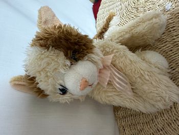 CHAT DOUDOU FOREST DISTRIBUTION BEIGE MARRON NOEUD ROSE PELUCHE