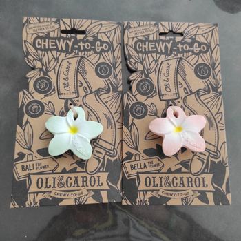 Lot de 2 jouet de dentition oli and caroll