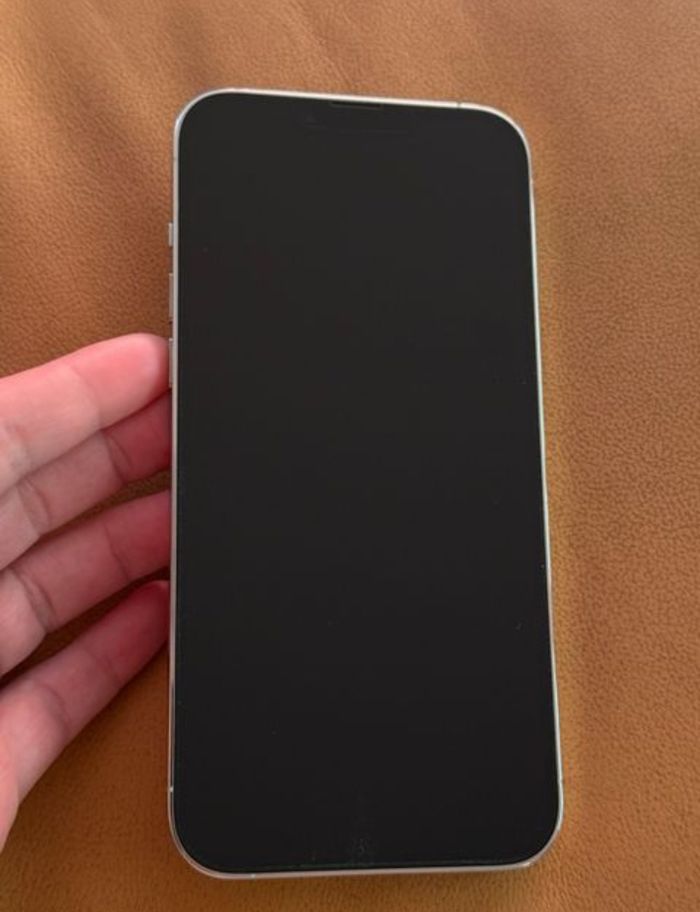 Iphone treize pro max - photo numéro 6