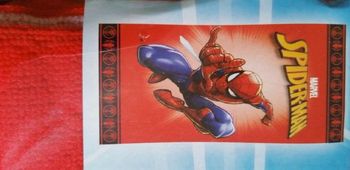 Lot 2 serviettes de plage