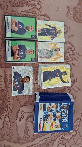 Stickers panini France