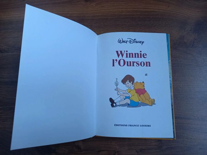 Winnie l'ourson - photo numéro 3