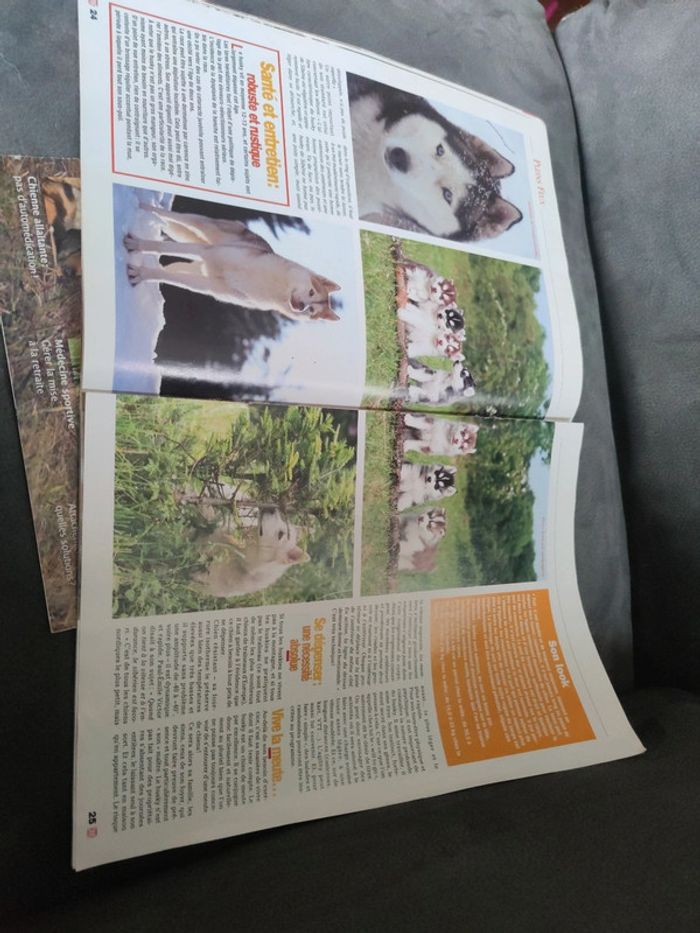 Magazine spécial husky de Sibérie revue chien 2000 - photo numéro 7