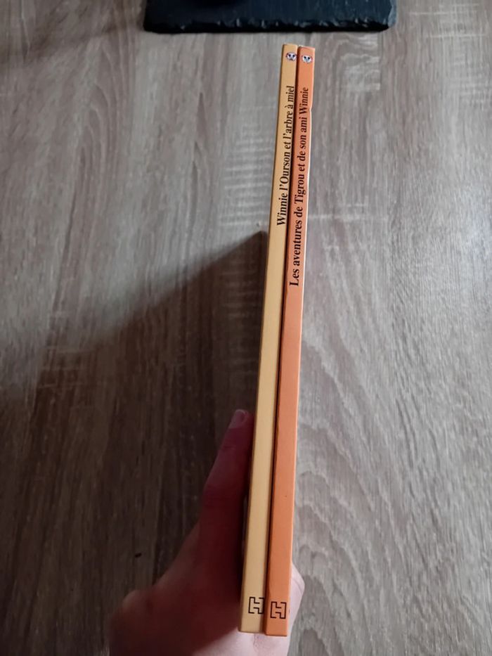 Lot de 2 livres Disney - photo numéro 5