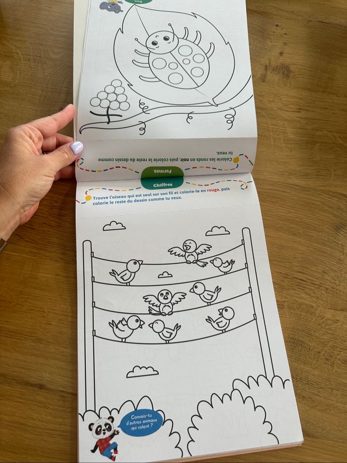 Livre coloriage 2-4 ans - photo numéro 2