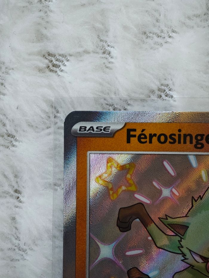 Ferosinge 169/91 - photo numéro 2