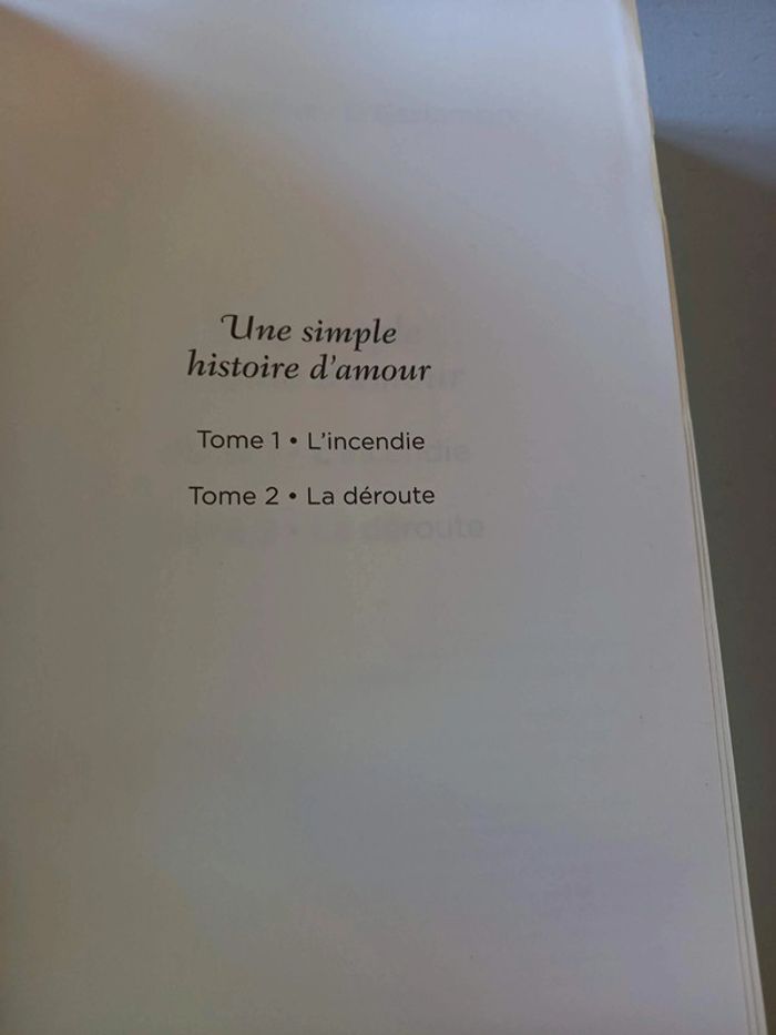 Une simple histoire d'amour - photo numéro 3