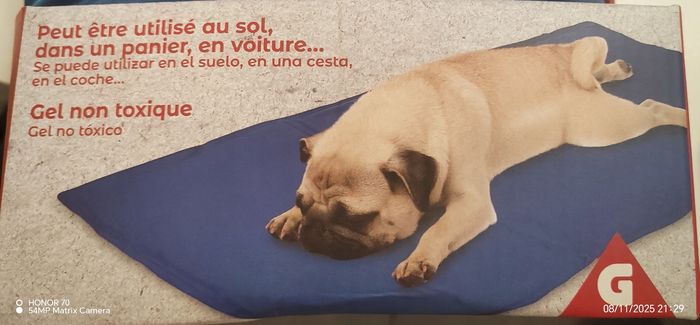 Tapis rafraîchissant pour chien