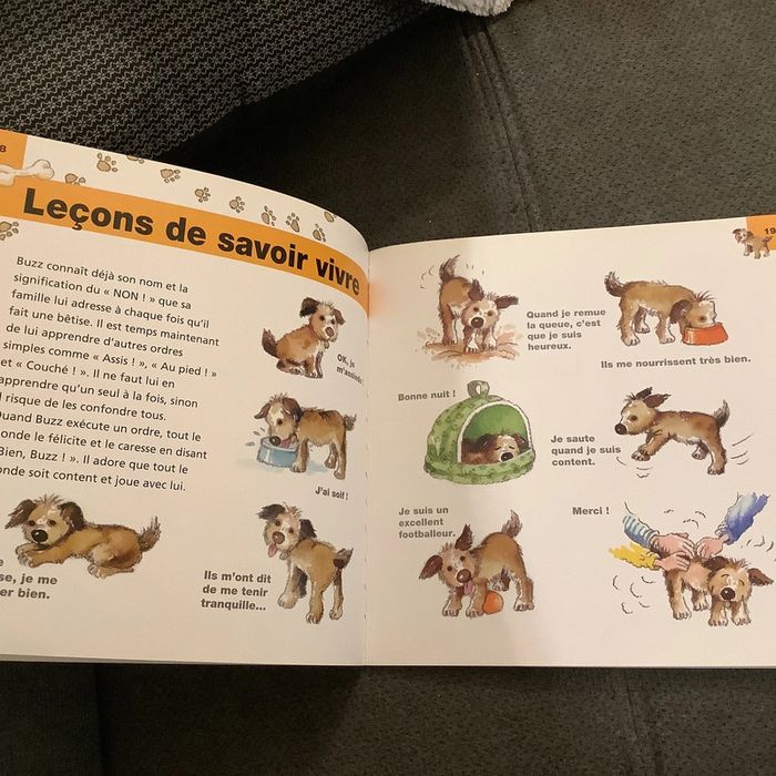 Livre notre nouveau chien - photo numéro 7