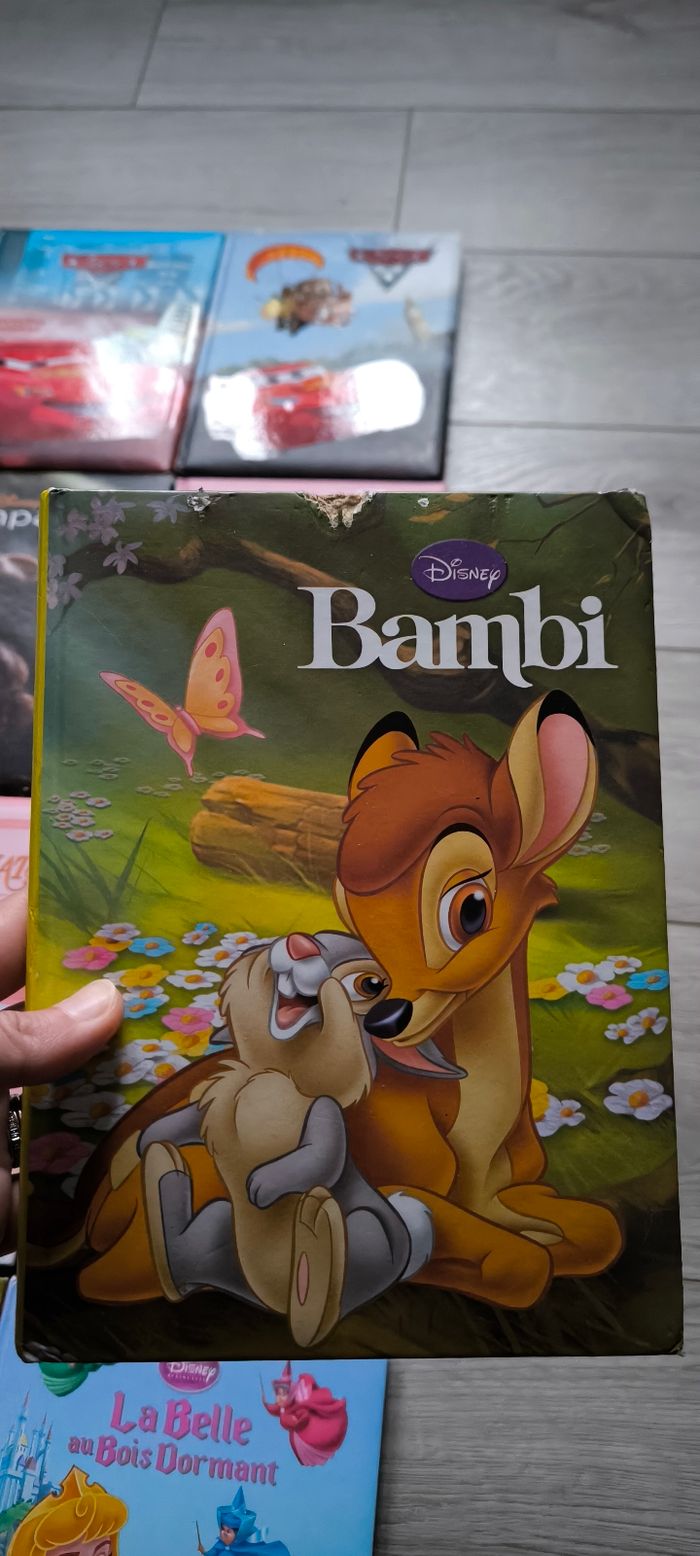 Livres Disney France loisir - photo numéro 7