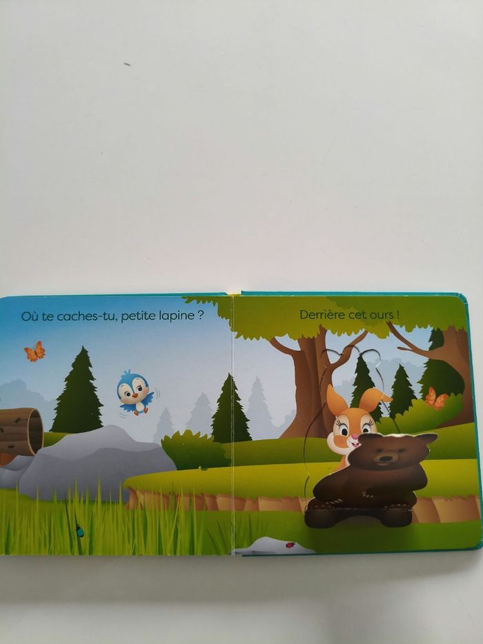Où te caches-tu panpan ? - photo numéro 4