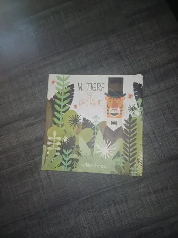 Livre M. Tigre se dechaine