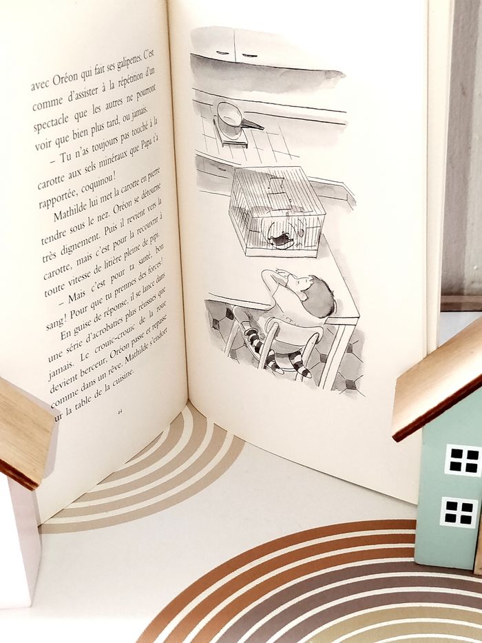 📚 École des loisirs Les hamsters n'ont pas de voix  Neuf - photo numéro 2