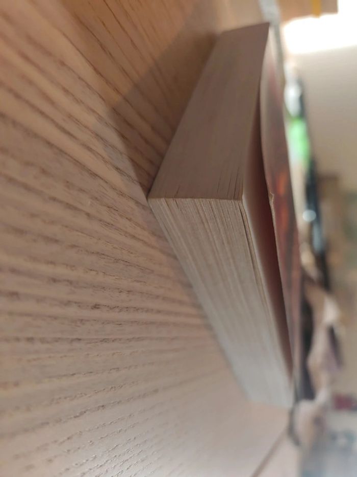 Le bûcher des innocents Shirley Palmer 9782280833820 - photo numéro 3