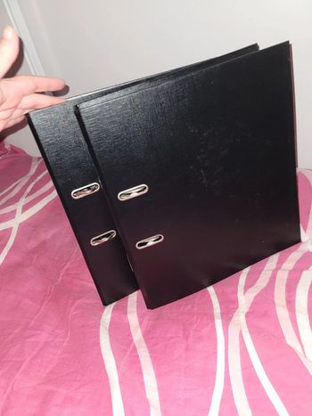 Lot 2 classeurs noirs