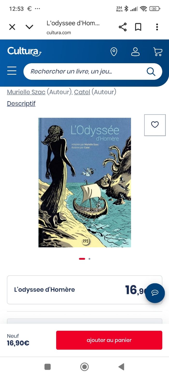 L'odyssée d'homerie - photo numéro 2