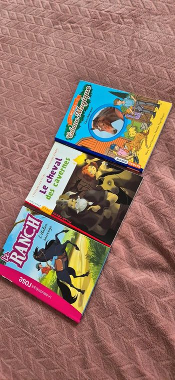 Lot livres chevaux