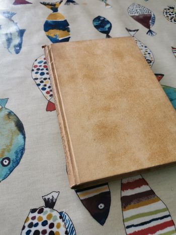 Un spectacle dans un fauteuil