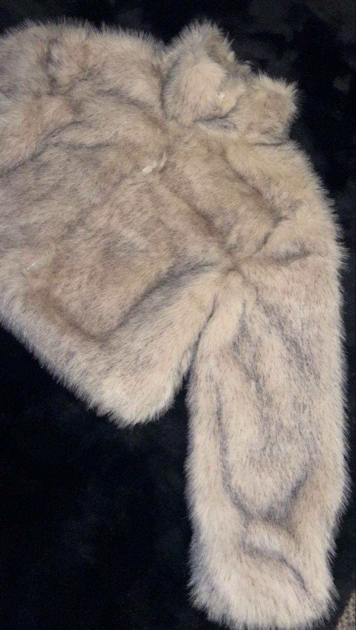 fourrure - photo numéro 2