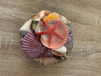 Décoration panier de coquillages