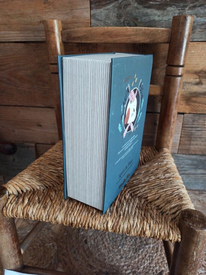 Coffret livre bonne nuit après la pluie Moulin roty tbe - photo numéro 7