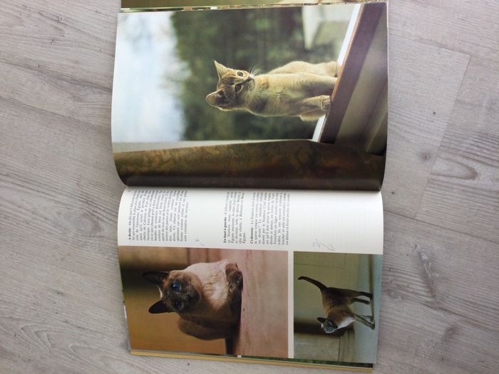 Livre les chats 1975 - photo numéro 2